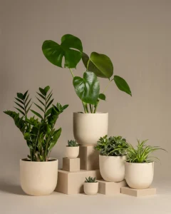 The Art of Selecting Ceramic Plant Pots: Indoor Styling Secrets for a Lush Home