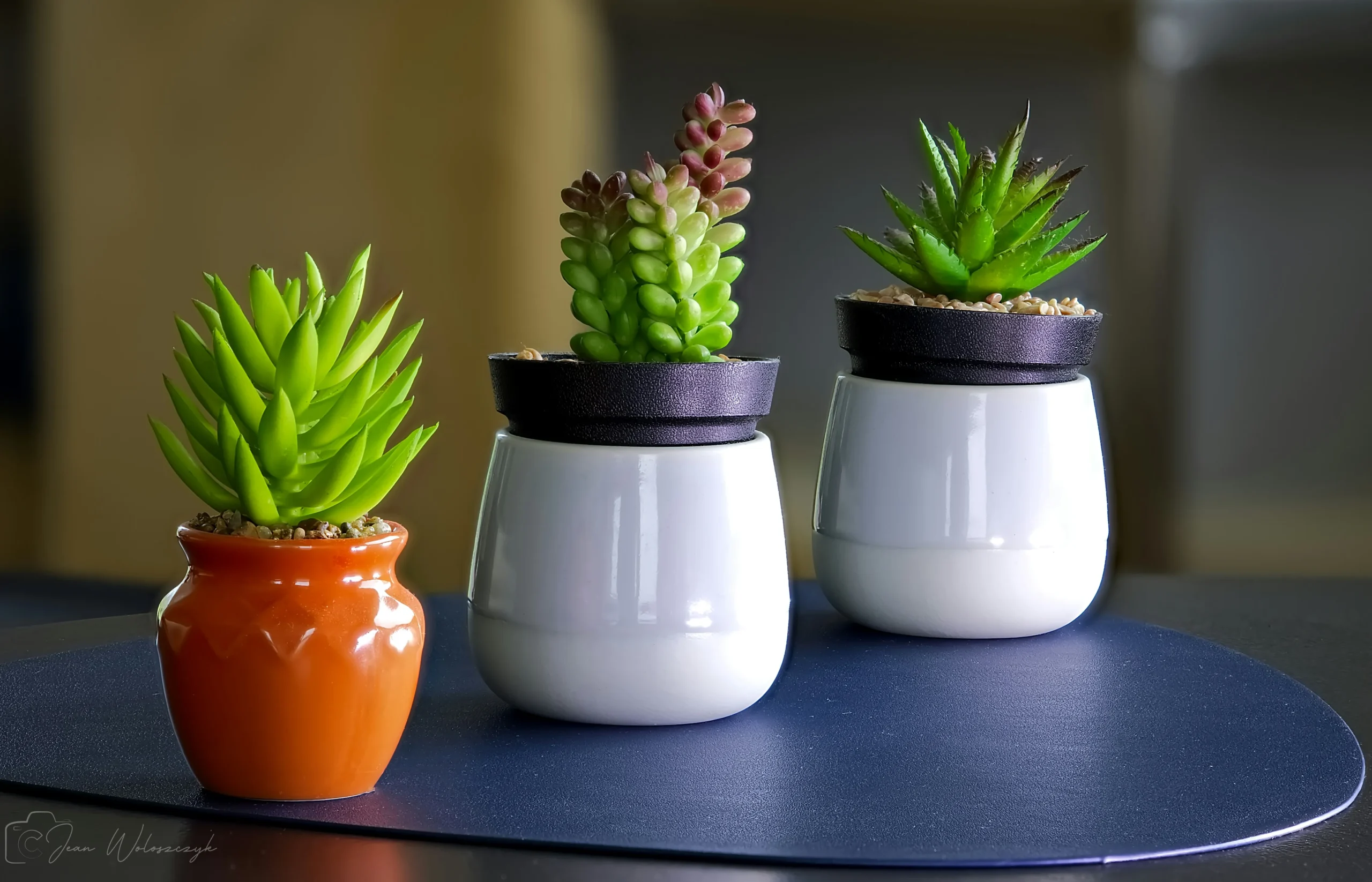 ceramic plant pots indoor