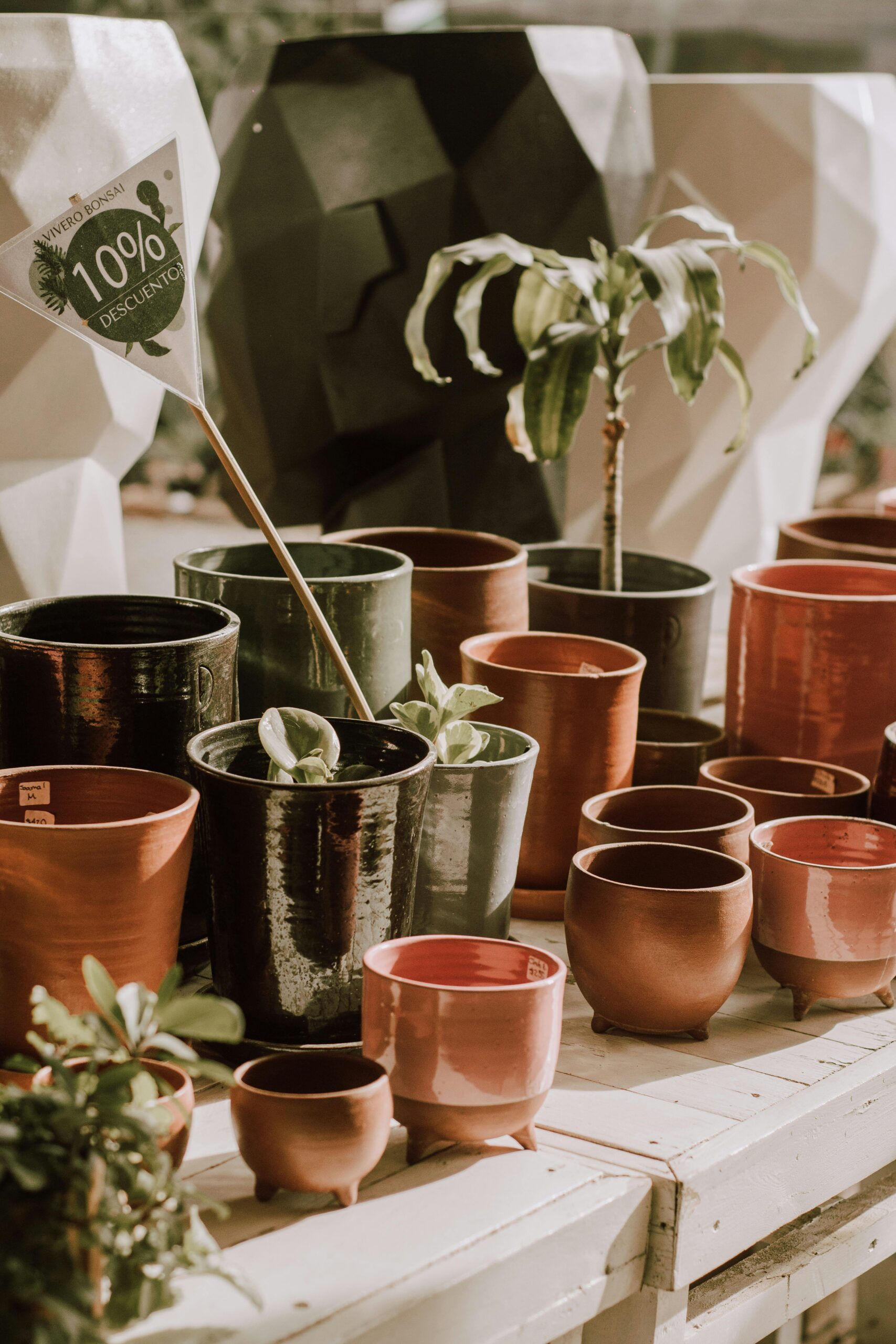ceramic planters 