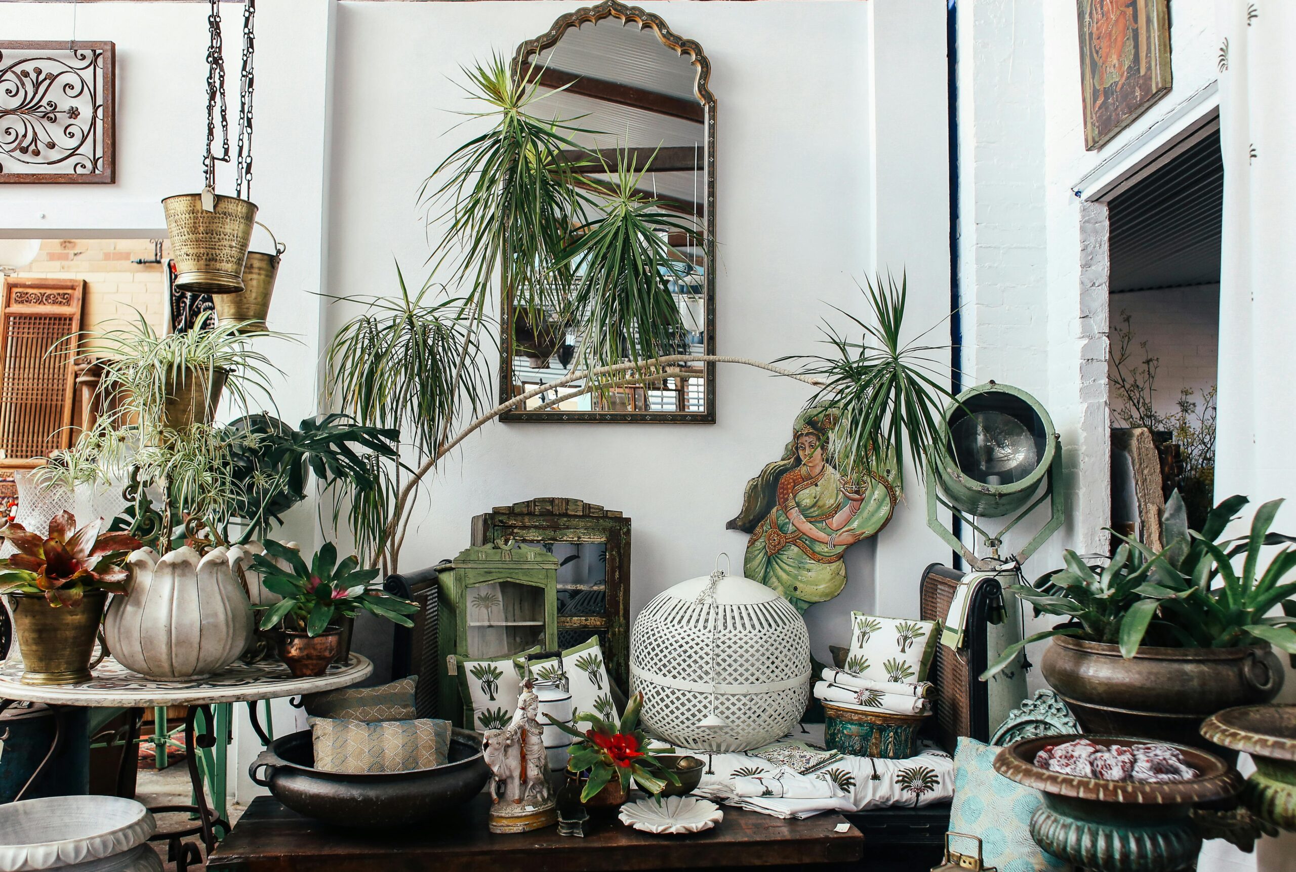 The Ultimate Guide to Ceramic Planters: Selection, Styling, and Care