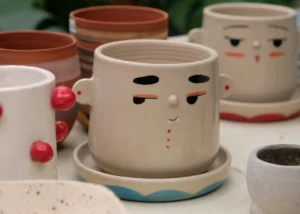 Why is My Plant Struggling? Is Your Ceramic Glazed Planter Pot the Problem?